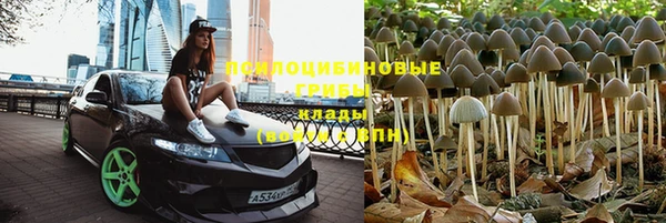Альфа ПВП Алексеевка