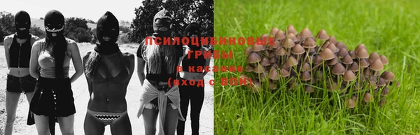 mix Аркадак
