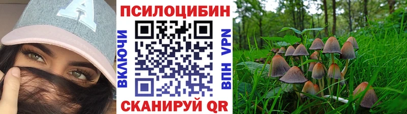 купить закладку  кракен как войти  Псилоцибиновые грибы Psilocybe  Нижний Новгород 