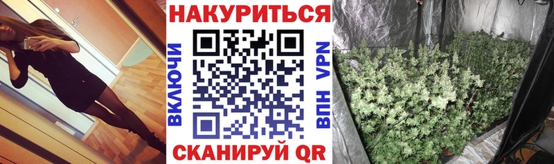 Бошки марихуана гибрид  блэк спрут ССЫЛКА  Нижний Новгород  магазин  наркотиков 